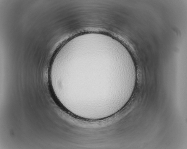 X0000112910015200909141301