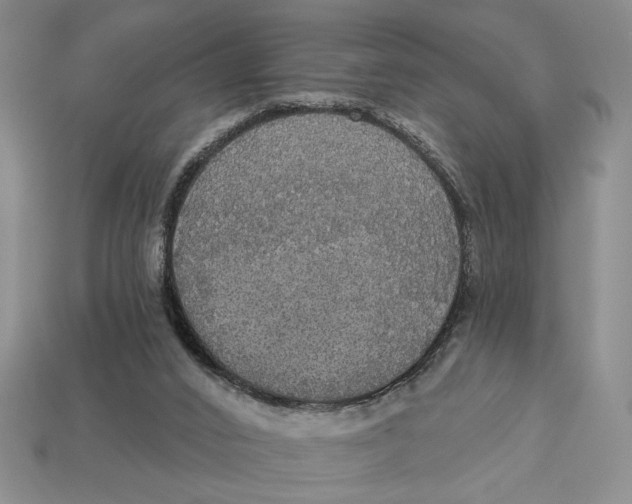 X0000112910016200909141301