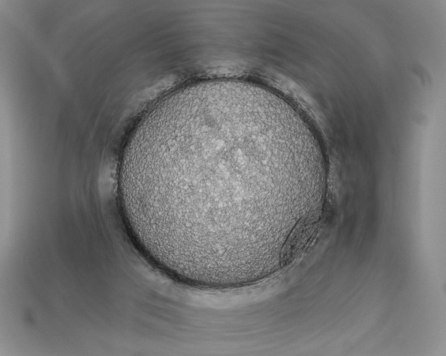 X0000112910017200909141301