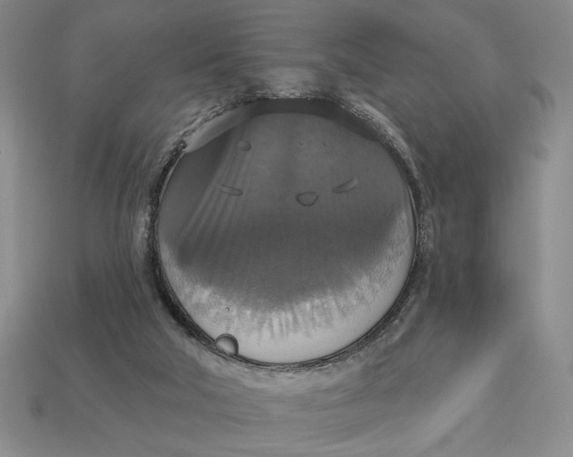 X0000112910018200909141301