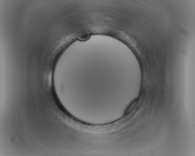 X0000112910019200909141301