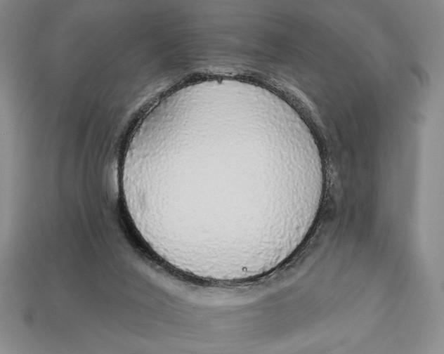 X0000112910020200909141301