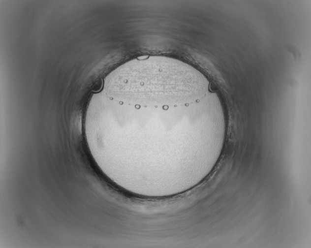 X0000112910021200909141301