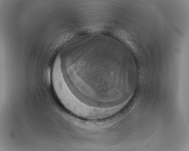 X0000112910022200909141301