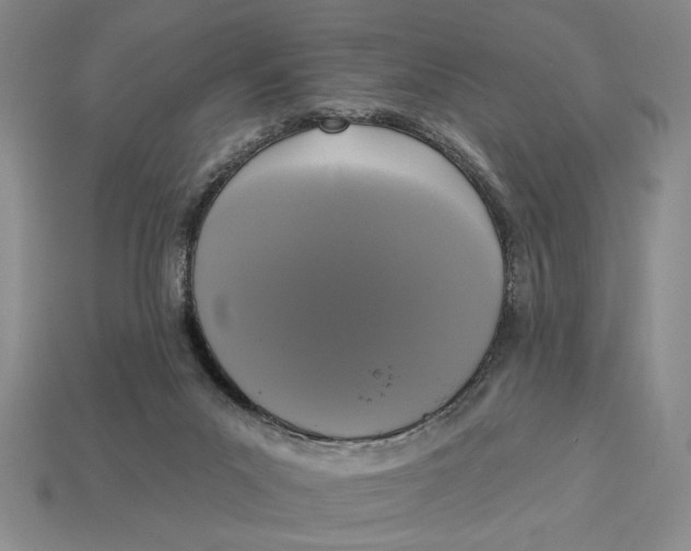 X0000112910023200909141301