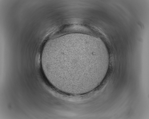 X0000112910024200909141301