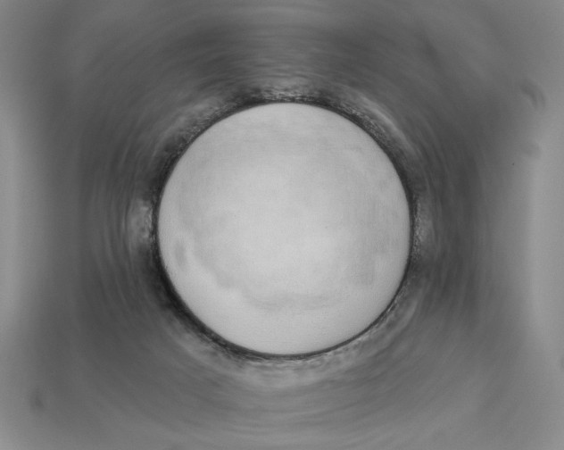 X0000112910025200909141301