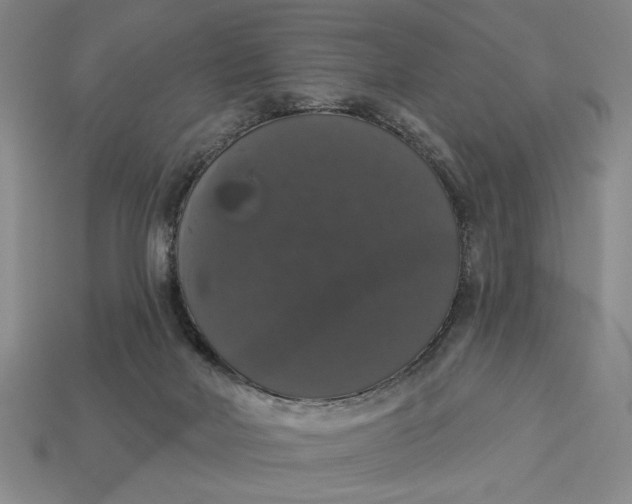 X0000112910026200909141301