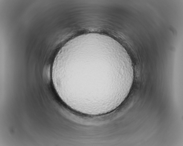 X0000112910028200909141301