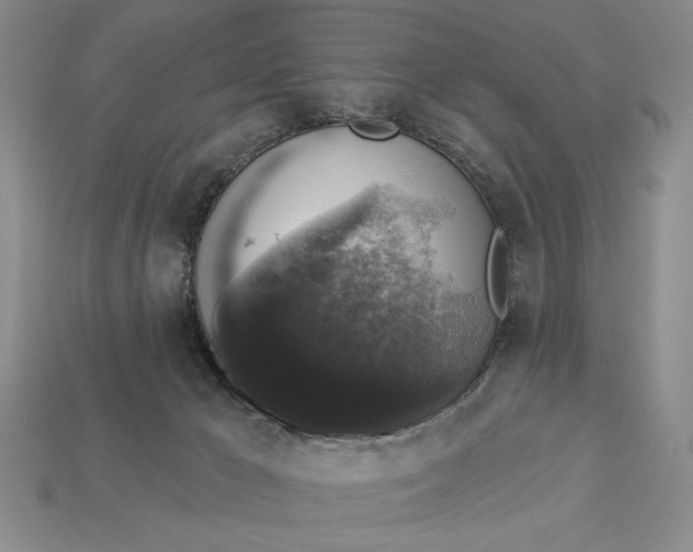 X0000112910029200909141301