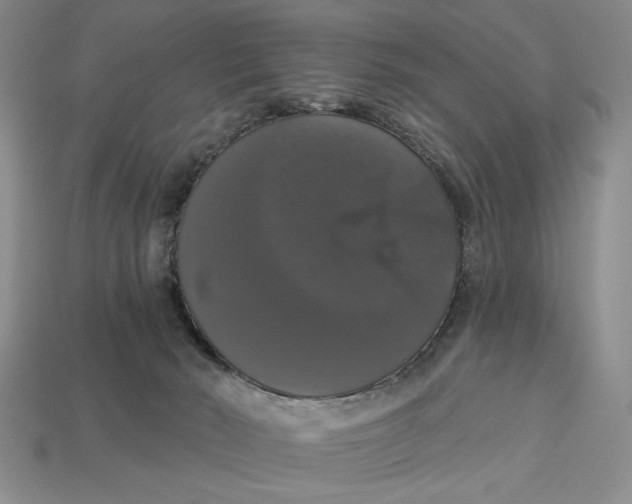 X0000112910030200909141301