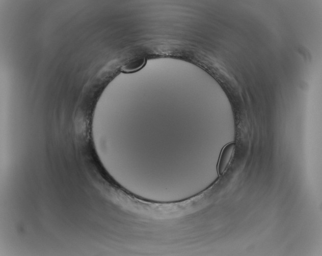 X0000112910031200909141301