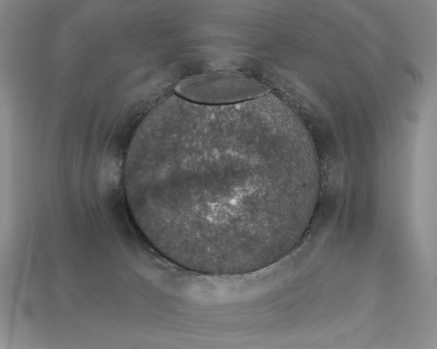 X0000112910033200909141301