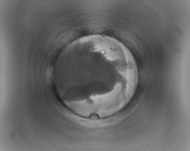 X0000112910034200909141301