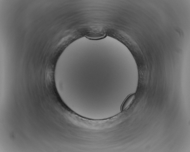 X0000112910035200909141301