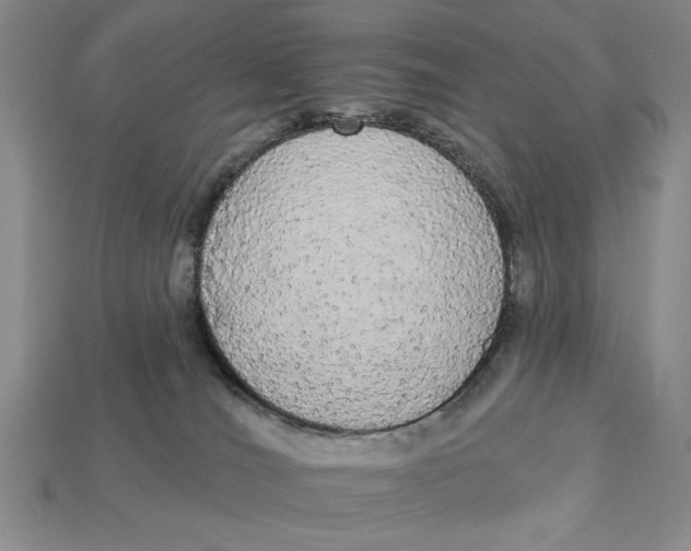 X0000112910036200909141301