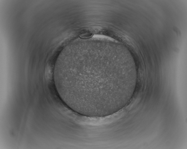 X0000112910037200909141301