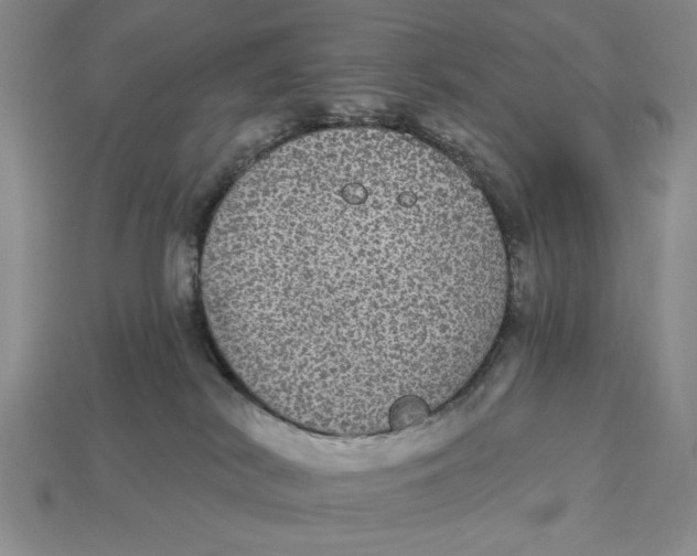 X0000112910038200909141301