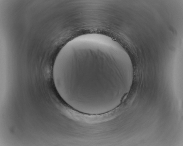 X0000112910039200909141301