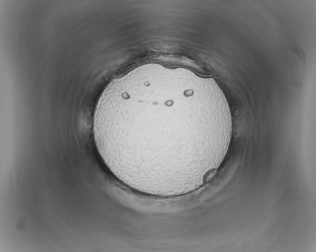 X0000112910040200909141301