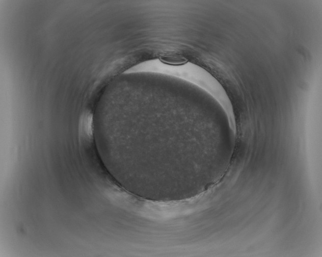 X0000112910041200909141301