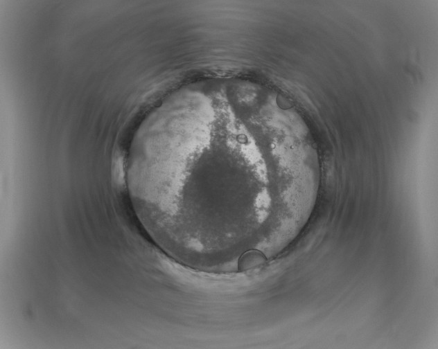 X0000112910042200909141301