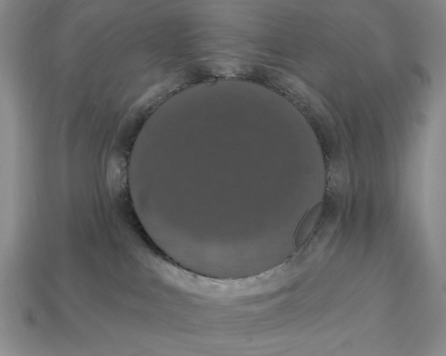 X0000112910043200909141300