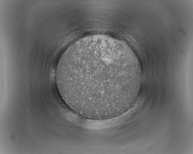 X0000112910045200909141300