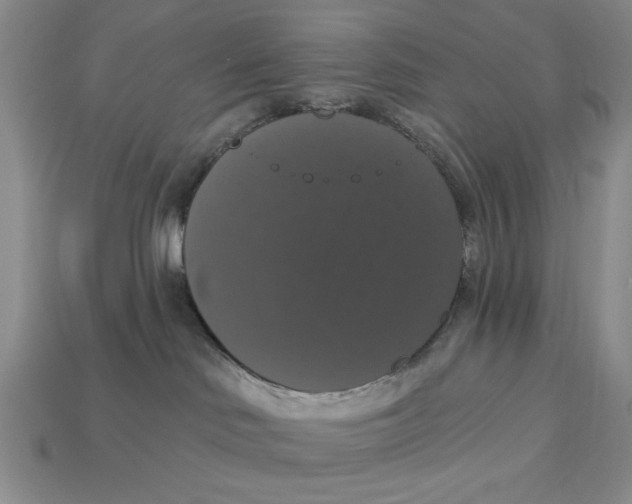 X0000112910046200909141300