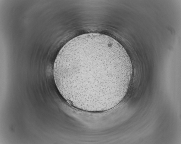 X0000112910048200909141300