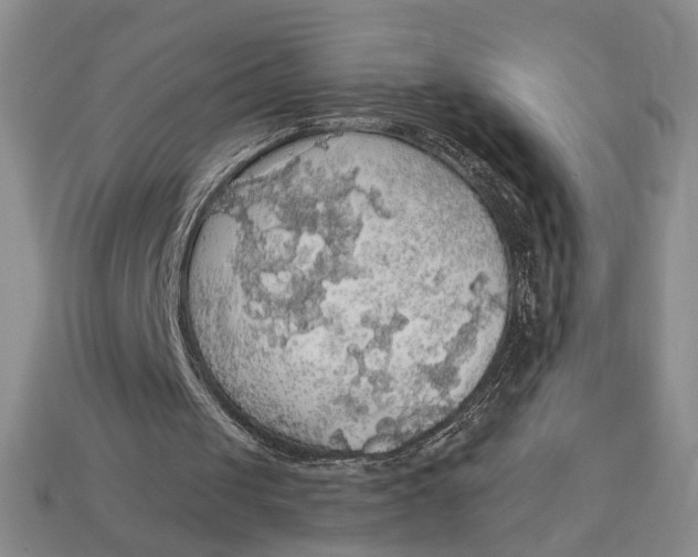 X0000112910049200909141300