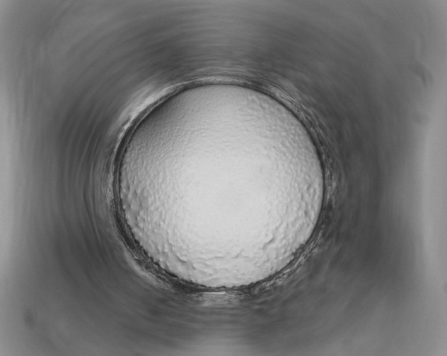 X0000112910050200909141300