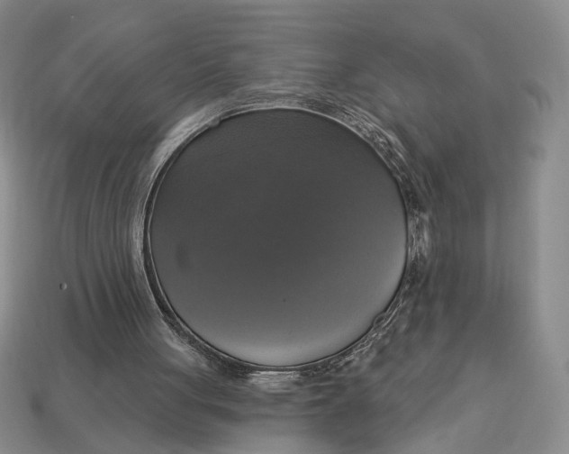 X0000112910051200909141300