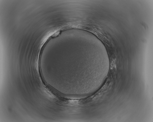 X0000112910052200909141300