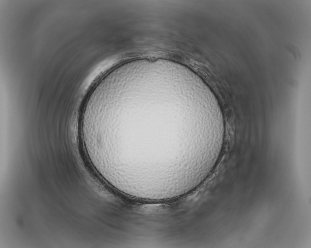 X0000112910054200909141300