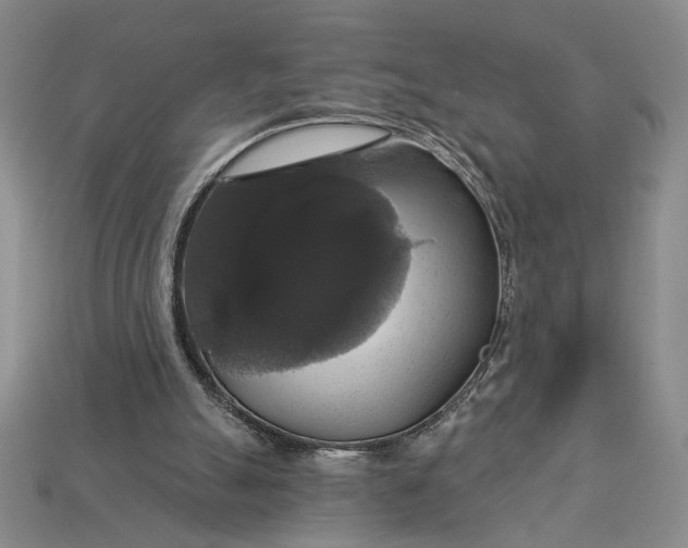 X0000112910055200909141300