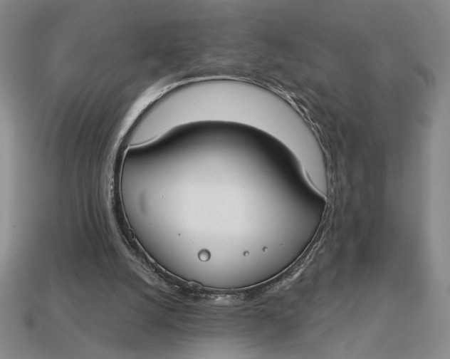 X0000112910056200909141300