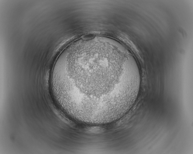 X0000112910058200909141300