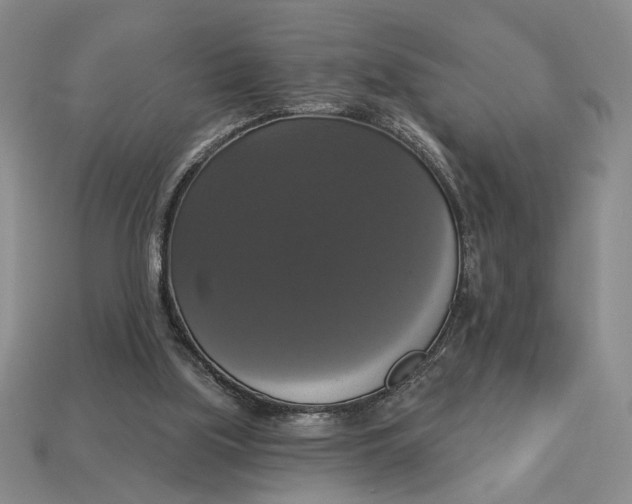 X0000112910059200909141300