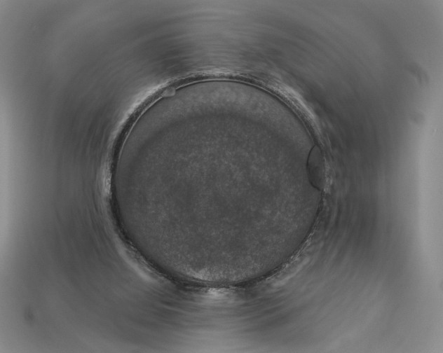 X0000112910060200909141300