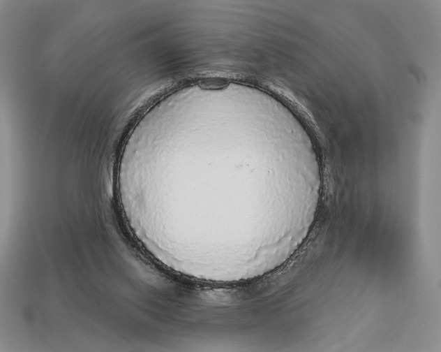 X0000112910062200909141300