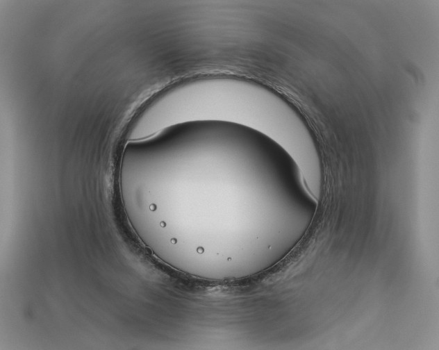 X0000112910064200909141300