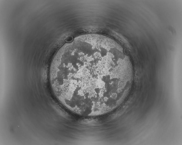 X0000112910065200909141300