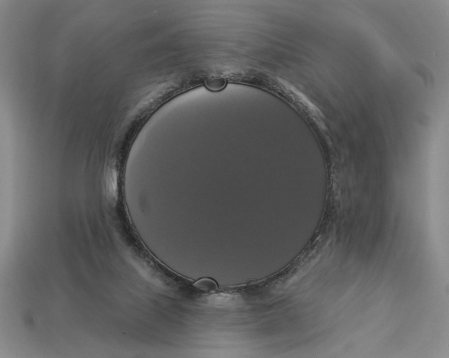 X0000112910067200909141300