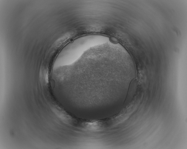 X0000112910068200909141300