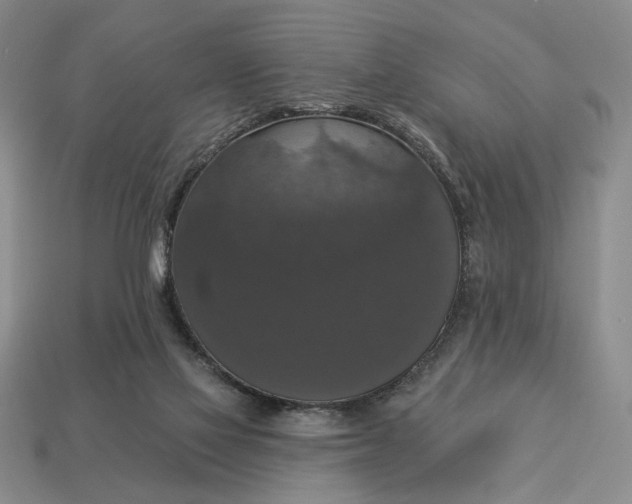 X0000112910069200909141300