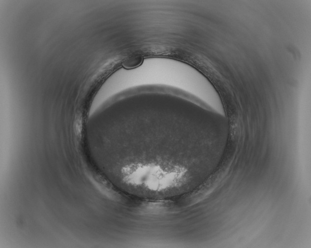 X0000112910072200909141300