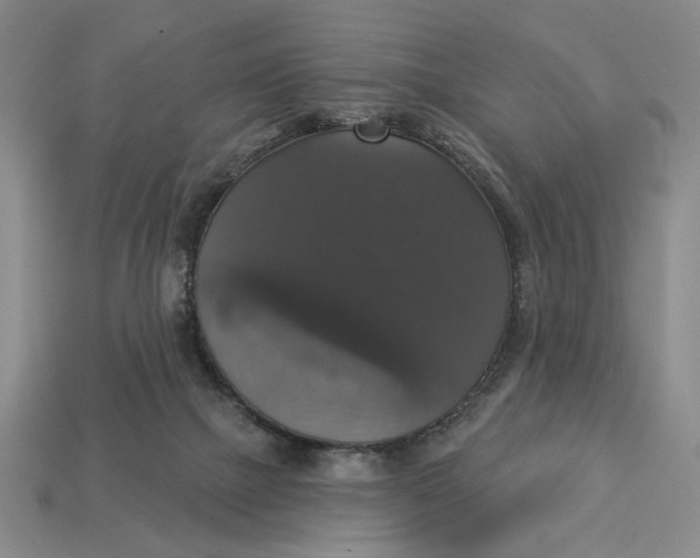 X0000112910073200909141300