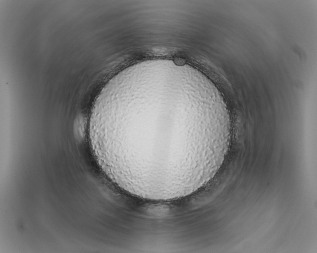 X0000112910075200909141300