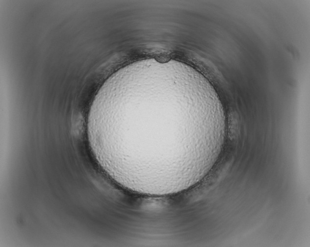 X0000112910077200909141300